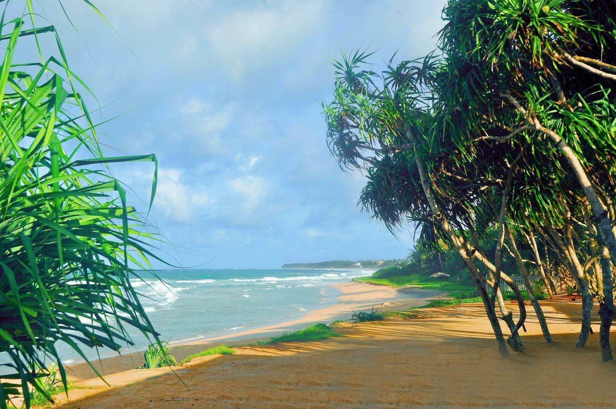 קוגאלה The Beach Cabanas Retreat & Spa מראה חיצוני תמונה